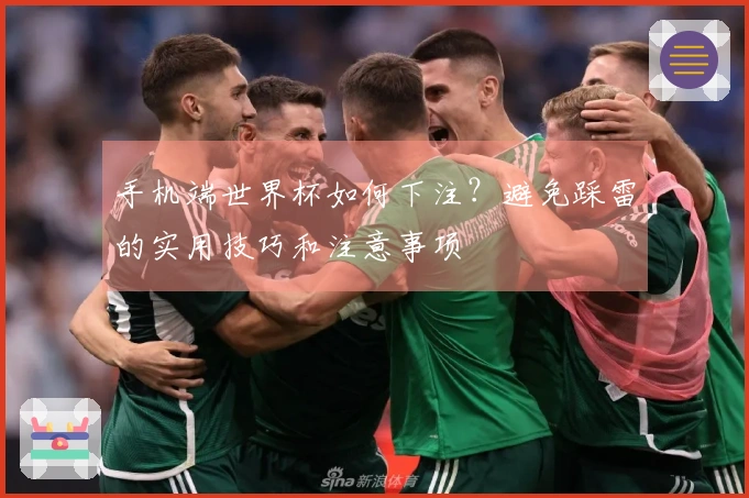 手机端世界杯如何下注？避免踩雷的实用技巧和注意事项