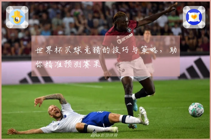 世界杯买球竞猜的技巧与策略，助你精准预测赛果