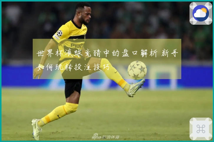世界杯滚球竞猜中的盘口解析 新手如何玩转投注技巧
