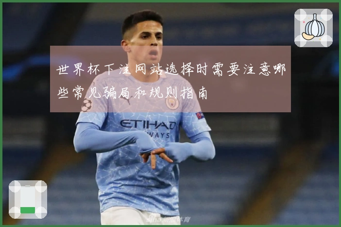 世界杯下注网站选择时需要注意哪些常见骗局和规则指南