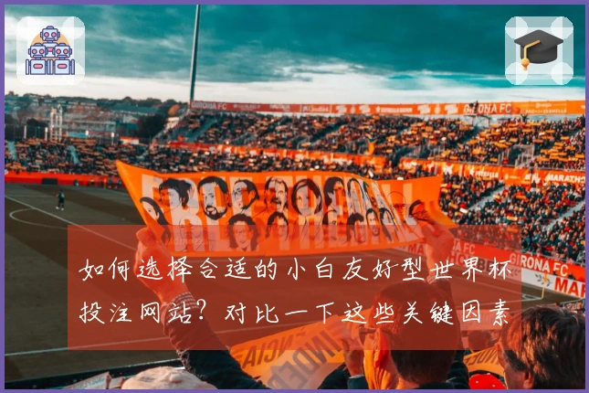 如何选择合适的小白友好型世界杯投注网站？对比一下这些关键因素